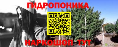 герыч Кимры