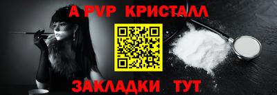спиды Кингисепп