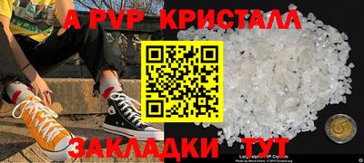 спиды Кингисепп