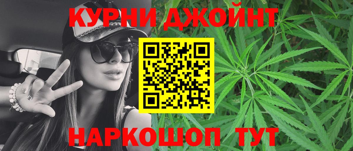 Конопля сатива Барабинск